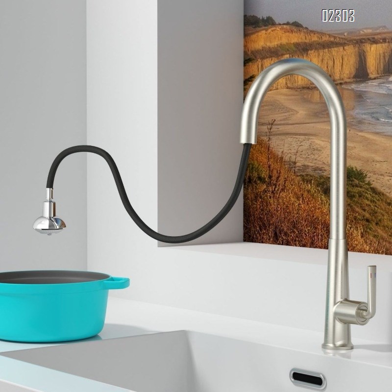 Brass Hot and Cold Kitchen Faucet Gun Gray Rotating Minimalist Simple Pull-out Sink Kitchen Faucet Tap