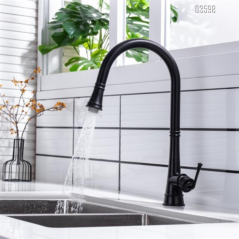 Modern Single-Handle Brass Kitchen Faucet with Pull-Out Sprayer Ceramic Valve Core Water Tap  Mixer Single-Hole