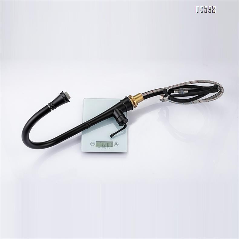 Modern Single-Handle Brass Kitchen Faucet with Pull-Out Sprayer Ceramic Valve Core Water Tap  Mixer Single-Hole