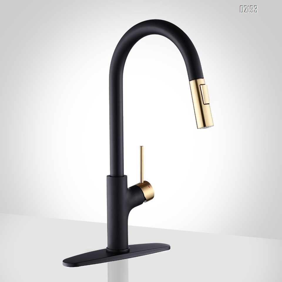 Black and Gold Kitchen Faucet with Pull Down Magnetic Docking Sprayer,Stainless Steel Pull Out RV Kitchen Sink Faucets,Single Handle Deck Mount,Grifos De Cocina (Black and Gold)