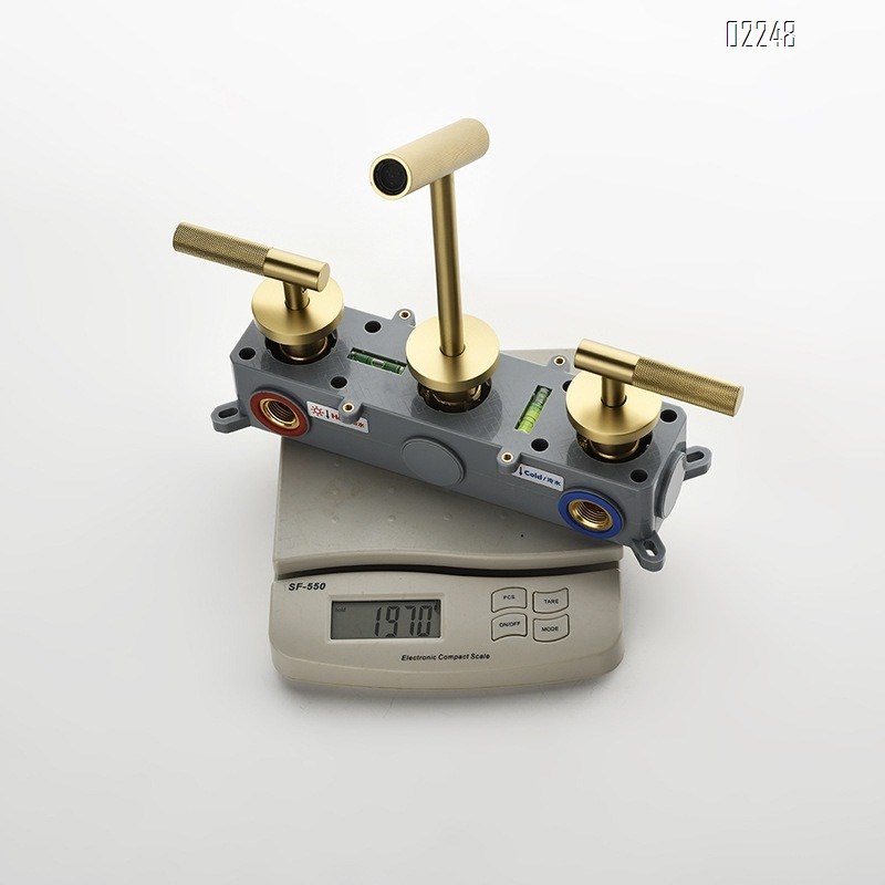 Wall-mounted Concealed Basin Faucet Hidden Hot and Cold Water Faucet Round Three-Hole Gold Light Luxury Tap