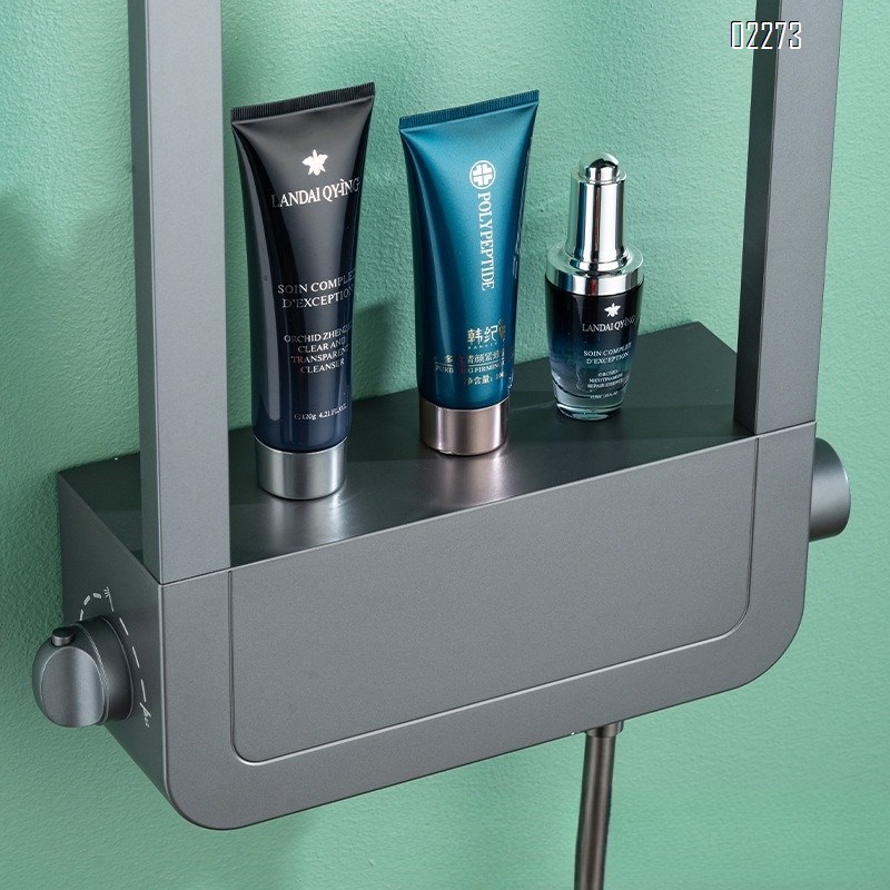 Shower Head Set Multi-Functional Storage Rack Shower Head Bathroom Household Bathroom Pressure-Boosting Tap