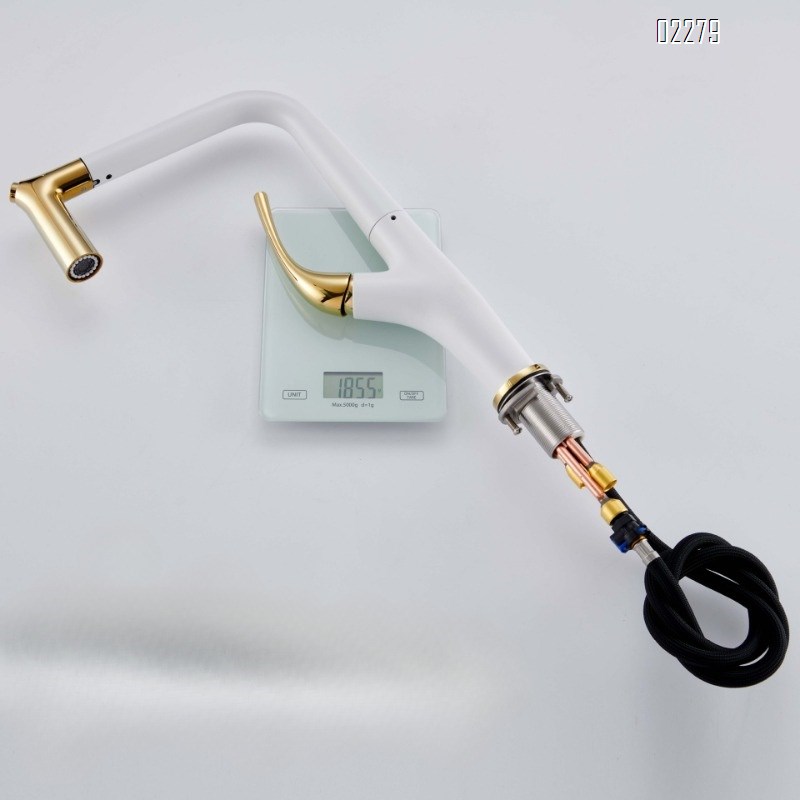 All-Brass Household Kitchen Pull-Out Hot and Cold Water Faucet for Sink Basin Dishwashing Sink Splash-Proof Faucet