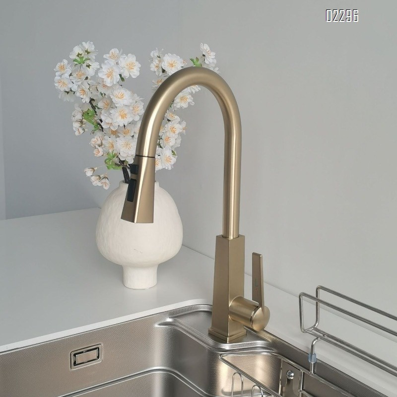 Pull-out Kitchen Faucet Hot and Cold Dual-use Kitchen Sink Basin Pool Telescopic All-Brass Household Tap