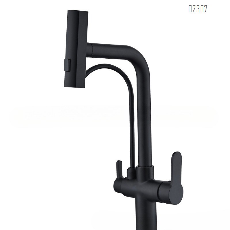 Brass 4-in-1 Water Purifier Kitchen Faucet Household Sink Vegetable Washing Basin Booster Kitchen Pull-out Hot and Cold Faucet