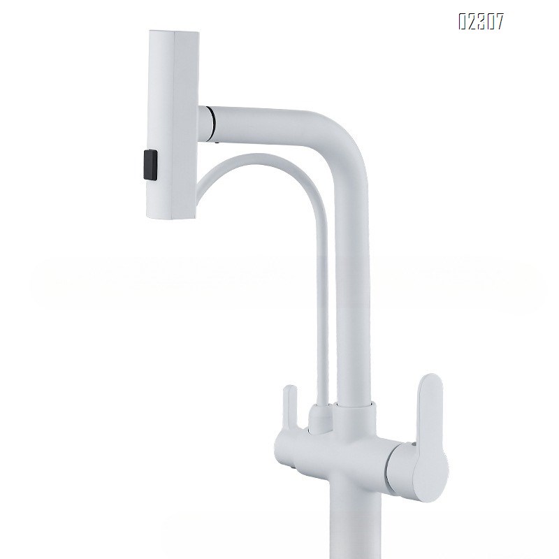 Brass 4-in-1 Water Purifier Kitchen Faucet Household Sink Vegetable Washing Basin Booster Kitchen Pull-out Hot and Cold Faucet