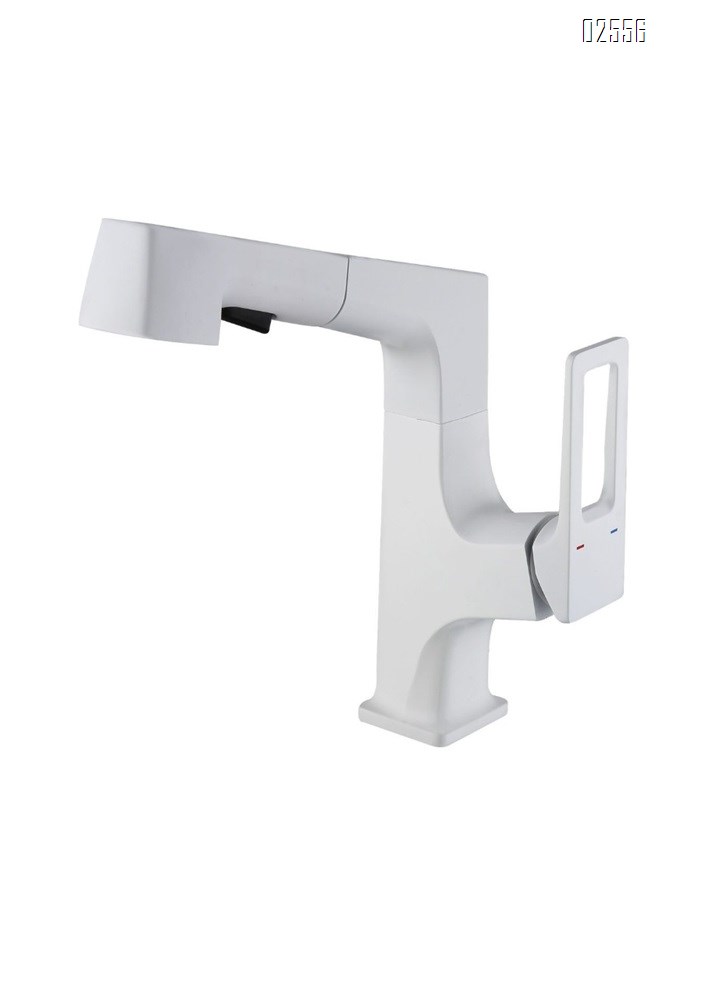 Pull-out multi-functional kitchen faucet with swivel and telescopic cold and hot water tap