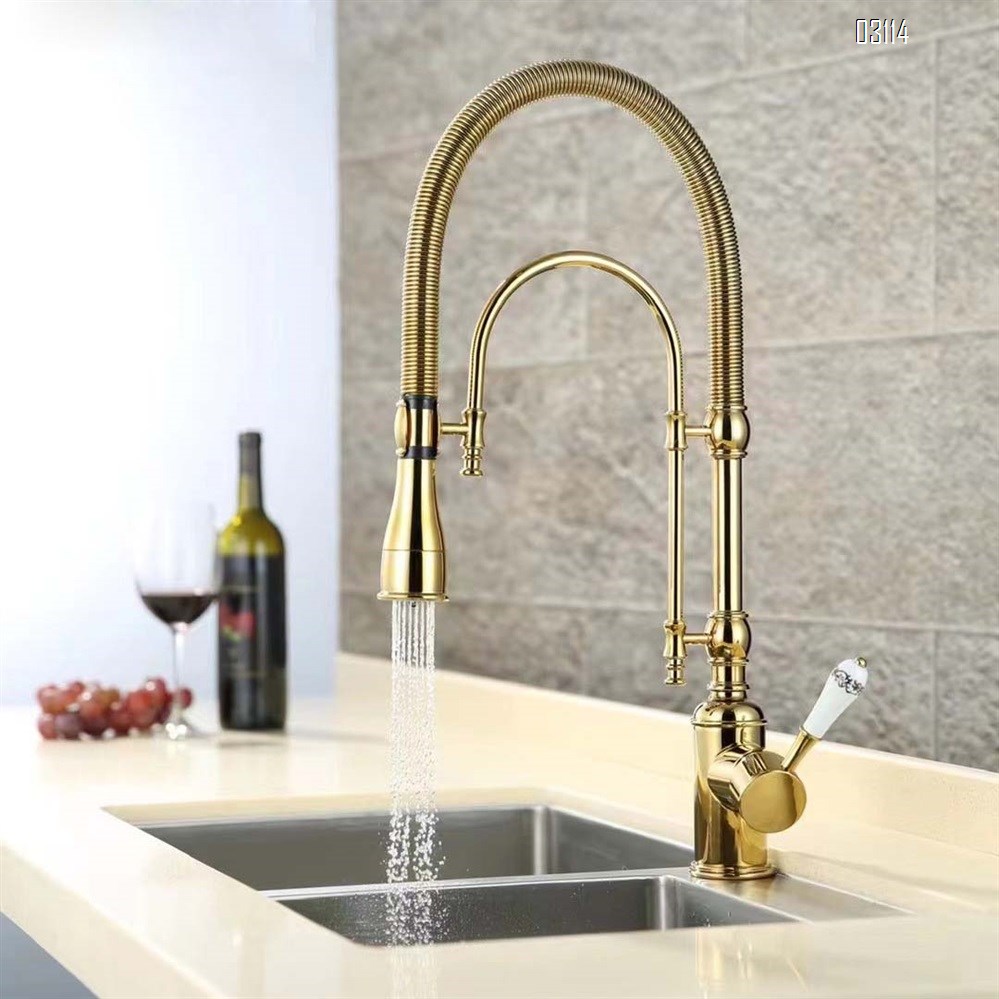 Kitchen faucet European style titanium gold sink cold and hot spring shower double water outlet all Brass vegetable wash basin rotary faucet