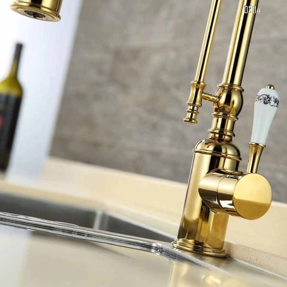 Kitchen faucet European style titanium gold sink cold and hot spring shower double water outlet all Brass vegetable wash basin rotary faucet