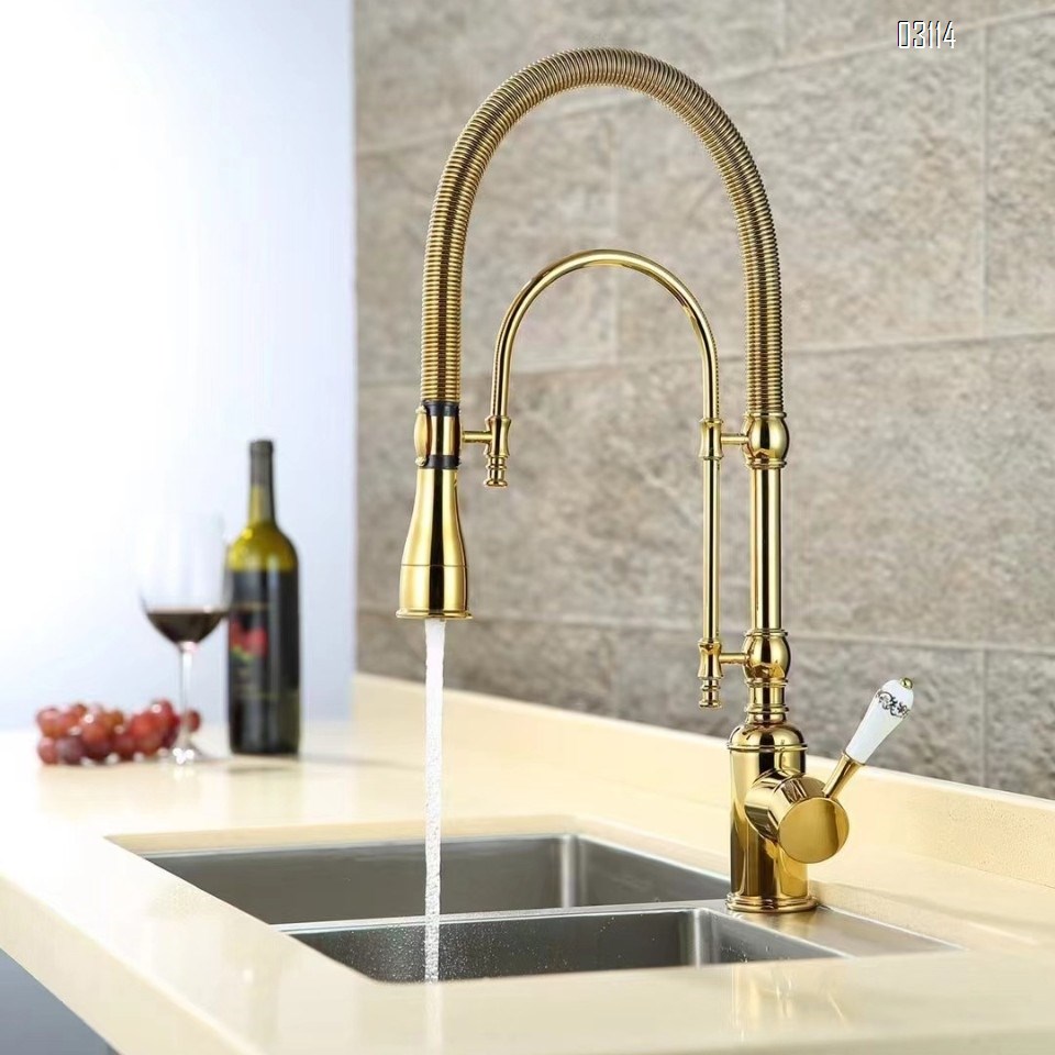 Kitchen faucet European style titanium gold sink cold and hot spring shower double water outlet all Brass vegetable wash basin rotary faucet