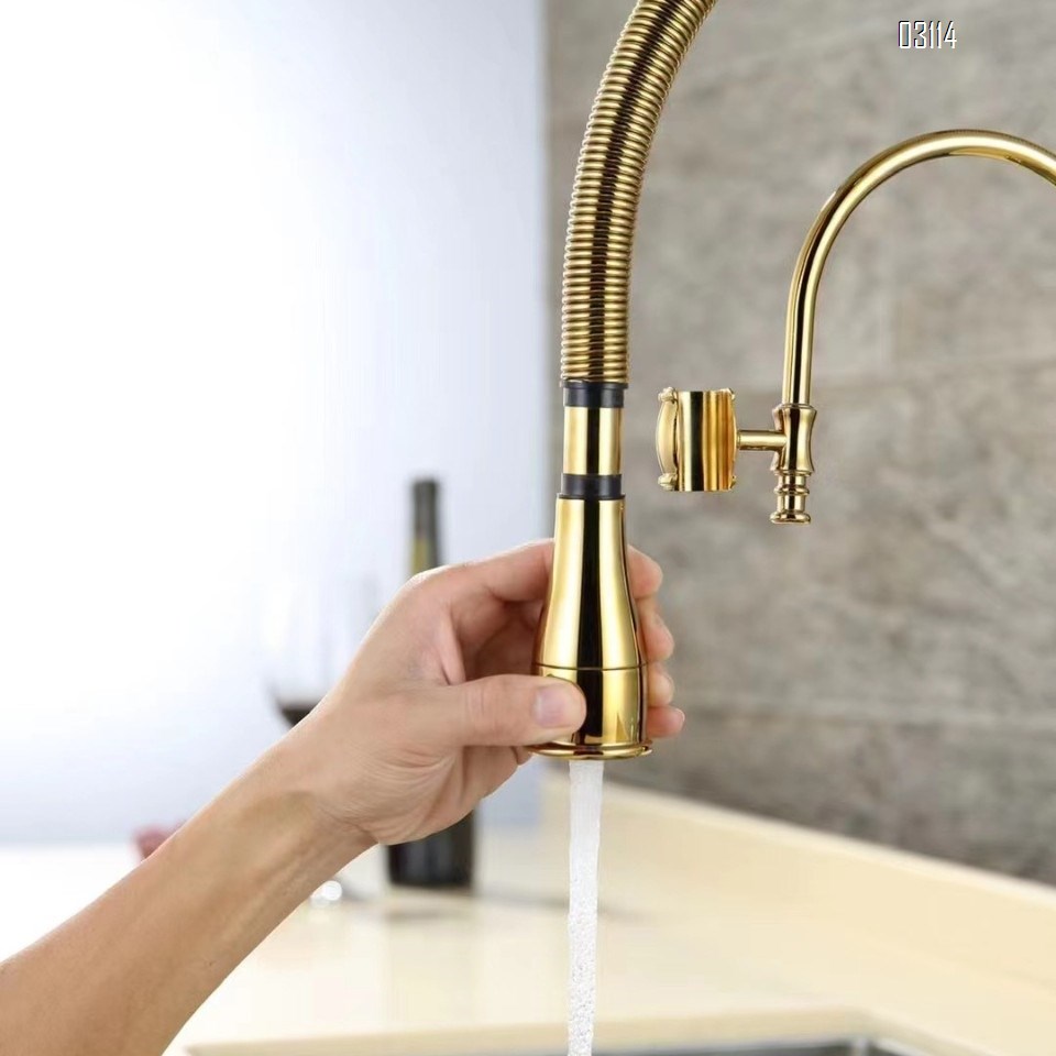 Kitchen faucet European style titanium gold sink cold and hot spring shower double water outlet all Brass vegetable wash basin rotary faucet