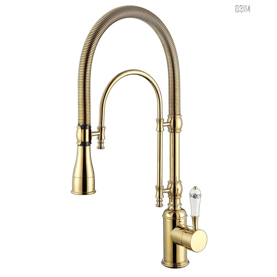 Kitchen faucet European style titanium gold sink cold and hot spring shower double water outlet all Brass vegetable wash basin rotary faucet