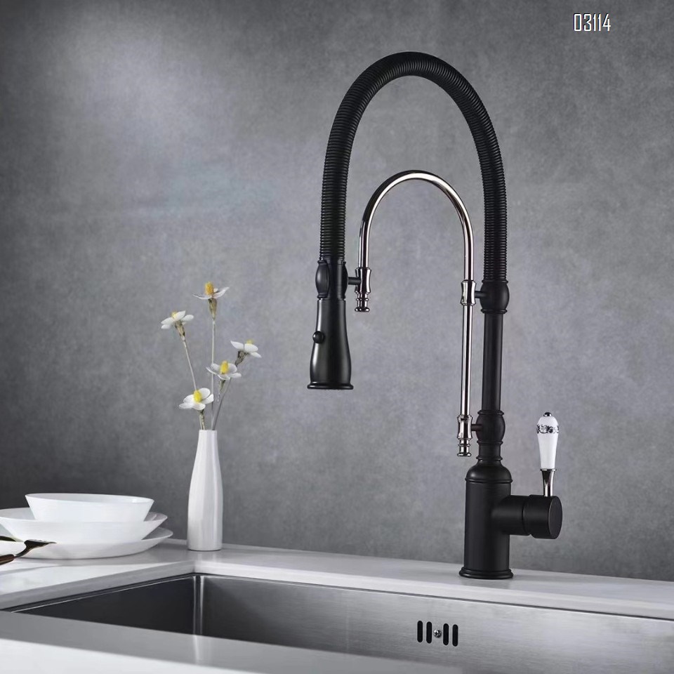 Kitchen faucet European style titanium gold sink cold and hot spring shower double water outlet all Brass vegetable wash basin rotary faucet