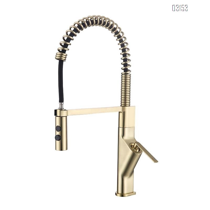 All-Brass spring multi-functional rotating cold and hot water faucet for washing vegetables single-handle kitchen faucet