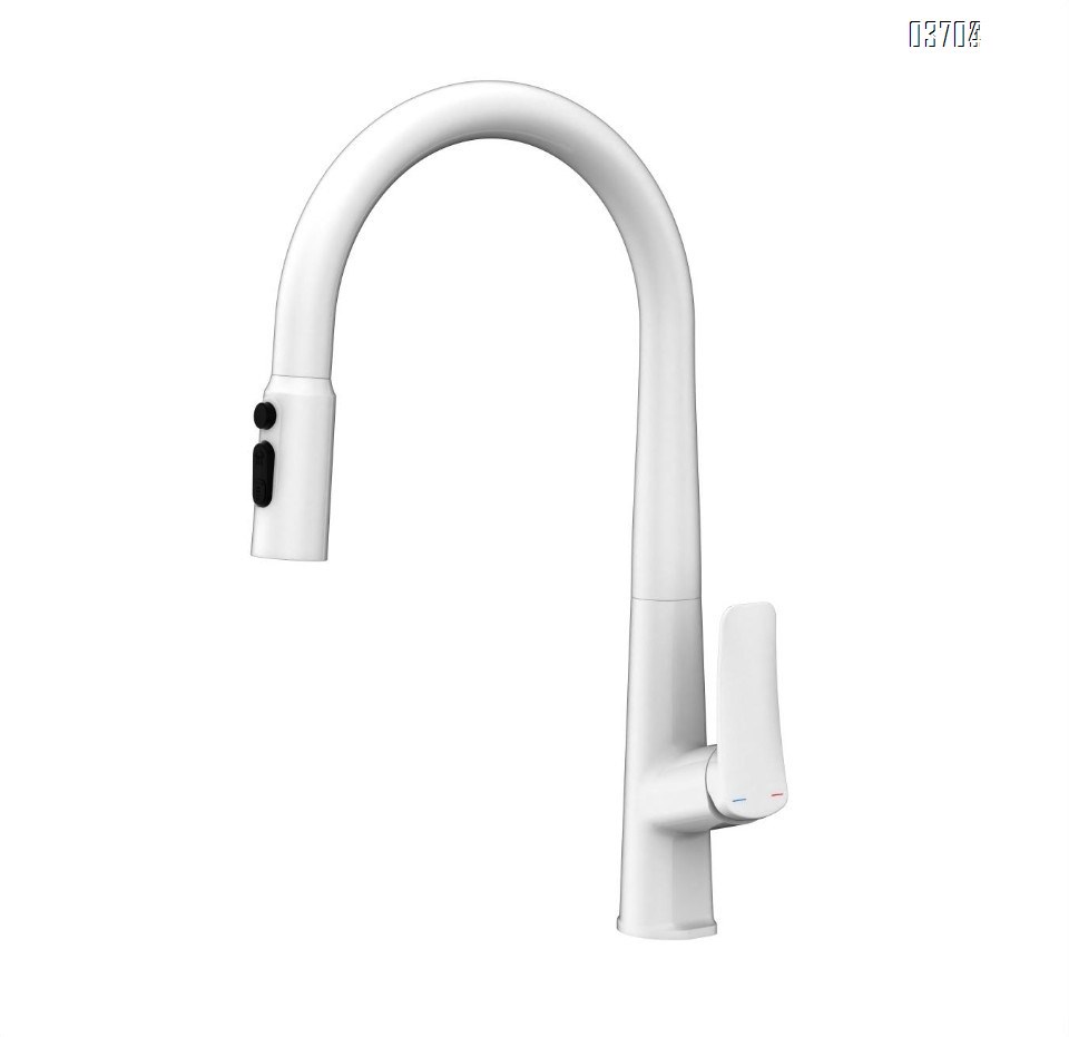 Stainless Steel Pull-Out Bathroom Home Chrome-Finished Exposed-Mount Hot and Cold Shower Set with Kitchen Sink Faucet