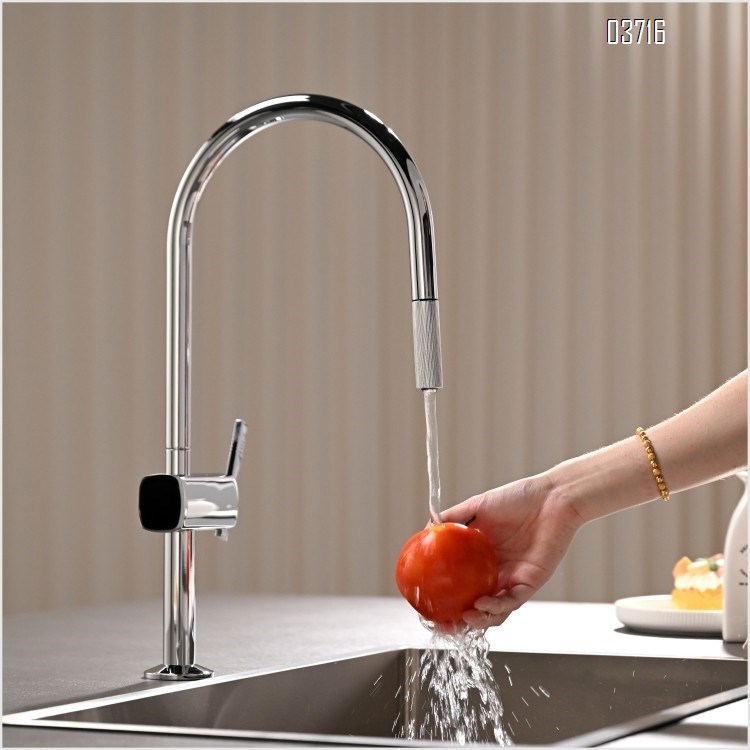 Stainless Steel Faucet for Vegetable Sink Deck Mounted Modern Cold Hot Water Single Handle Pull-out Kitchen Faucets Mixer Tap